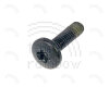PowerBook G3 Screw, Display Bezel T8 Blk 10.3mm (Wallstreet/PDQ)